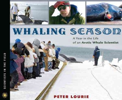 Whaling season : a year in the life of an arctic whale scientist / Peter Lourie.
