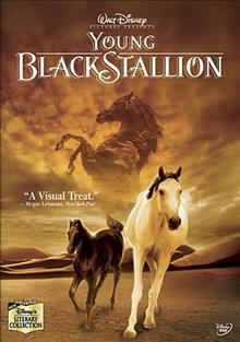 Young Black Stallion [videorecording].