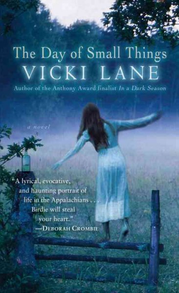 The day of small things : a novel / Vicki Lane.