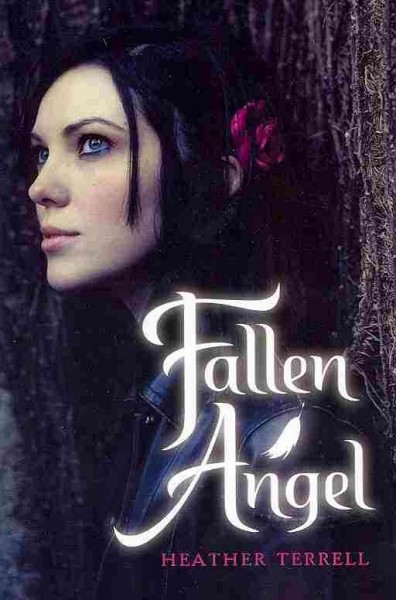 Fallen angel / Heather Terrell.