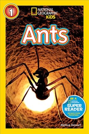 Ants / Melissa Stewart.