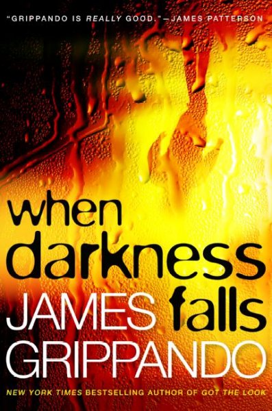 When darkness falls / James Grippando.