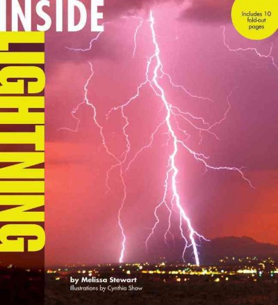 Inside lightning / by Melissa Stewart ; illustrations by Cynthia Shaw.