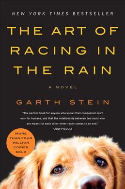 The art of racing in the rain : a novel / Garth Stein.