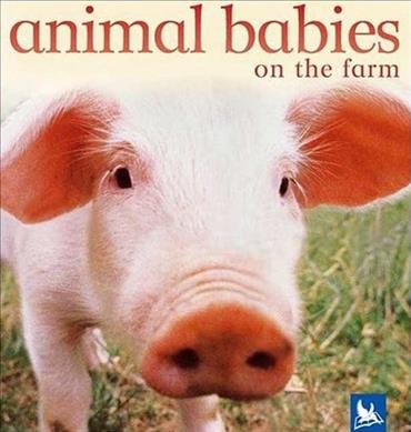 Animal babies on the farm Hardcover Book{BK}