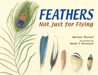 Feathers : not just for flying / Melissa Stewart ; illustrated by Sarah S. Brannen.