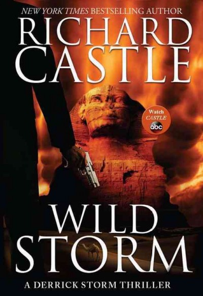 Wild storm / Richard Castle.