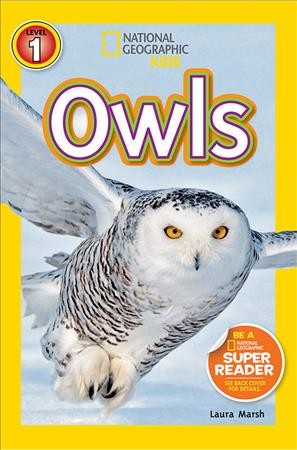 Owls / Laura Marsh.