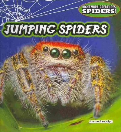 Jumping spiders / Joanne Randolph.