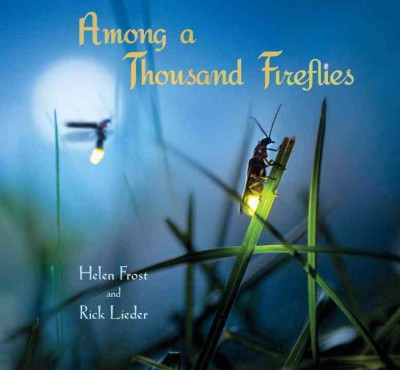 Among a thousand fireflies / poem by Helen Frost ; photographs by Rick Lieder.