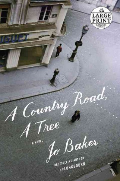 A country road, a tree [text (large print)] : a novel / Jo Baker.