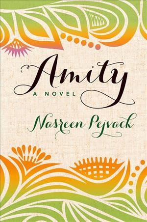Amity : a novel / Nasreen Pejvack.