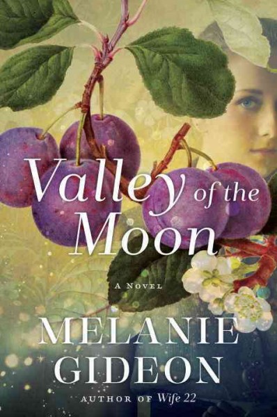 Valley of the moon : a novel / Melanie Gideon.