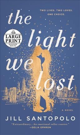 The light we lost : a novel / Jill Santopolo.
