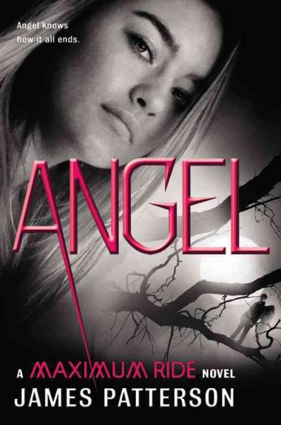 Angel : v. 7 : a Maximum Ride novel / James Patterson.