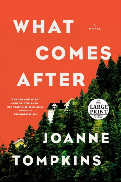 What comes after : a novel / JoAnne Tompkins.