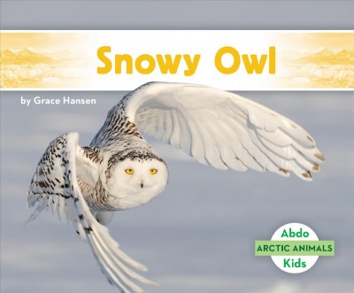 Snowy Owl