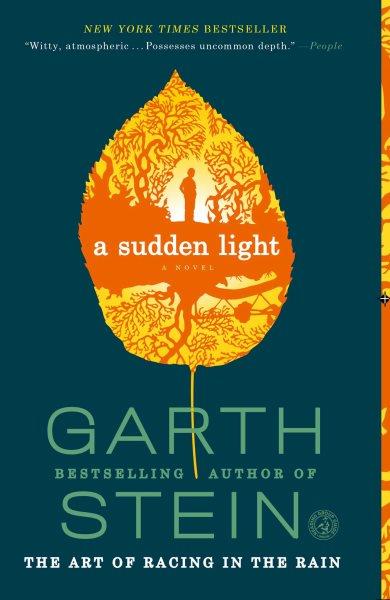 A sudden light / Garth Stein.