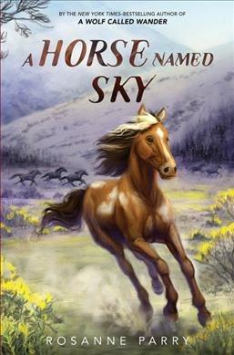 A horse named Sky [Vox book] / Rosanne Parry ; illustrations by Kirbi Fagan.