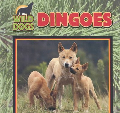 Dingoes.