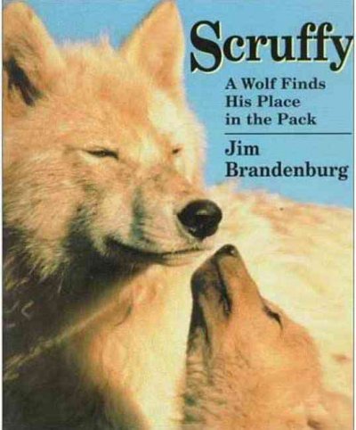 Scruffy: A wolf finds his place in the Pack.