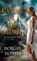 Candle in the storm  Cover Image