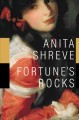 Go to record Fortune's rocks : a novel