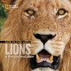 Face to face with lions  Cover Image