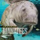 Face to face with manatees  Cover Image