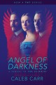 The angel of darkness Cover Image