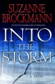 Into the storm a novel  Cover Image